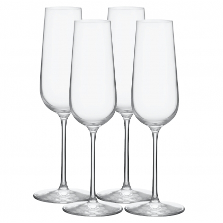 Balance Champagnerglas 21cl, 4-pack
