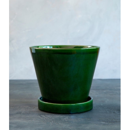 Julie Green Emerald, 17 cm