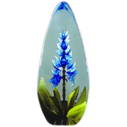 Orchid blå