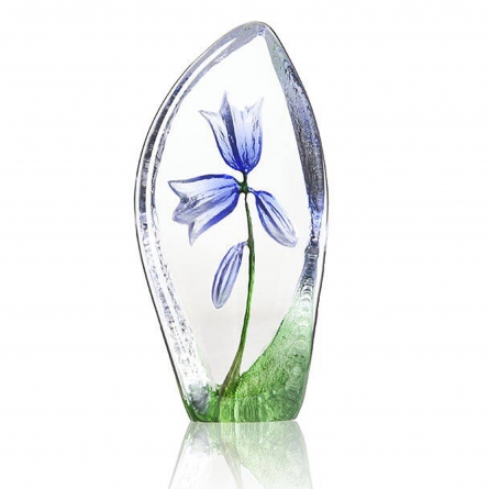 Harebell