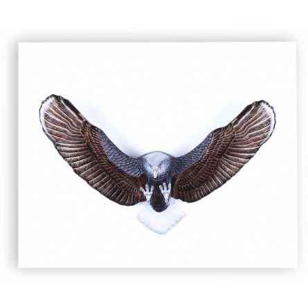 Örn