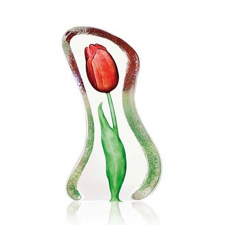 Tulip Red, Small