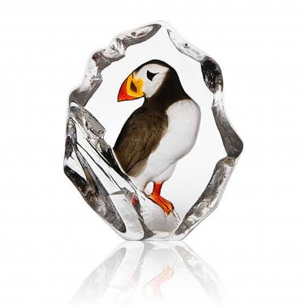 Puffin