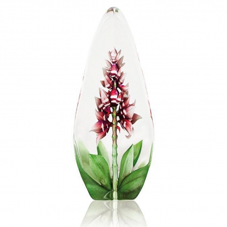 Orchid, Red