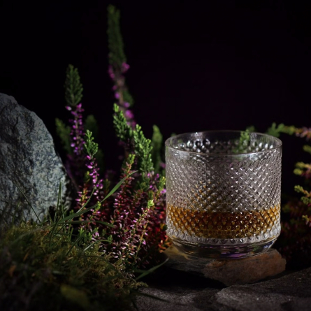 Perfect Serve Scotland Whiskey Glass 27cl, 2-pack