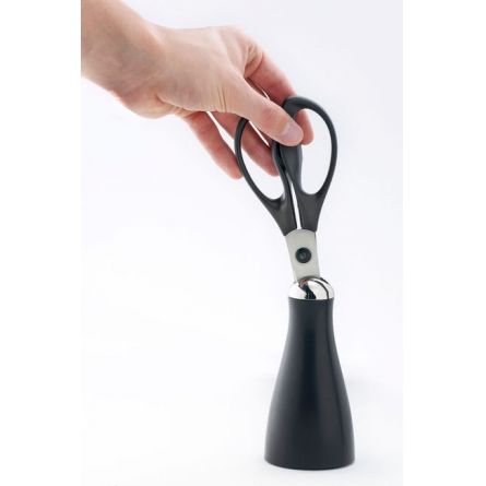 Signature Scissors & Stand