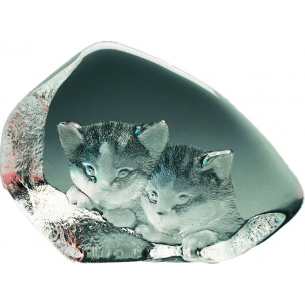 Katter