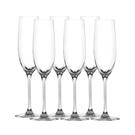 Sontell Champagne Glass 18cl, 6-pack