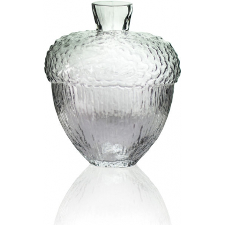 Robur vase clear H 11cm