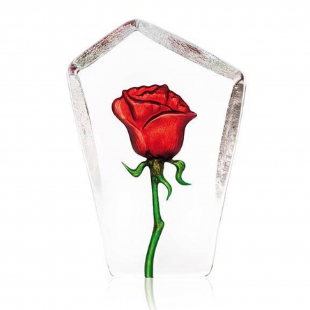 Rose, 13cm