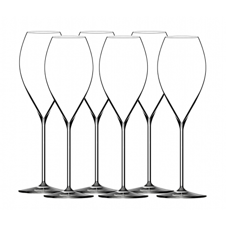 Initial Champagne Flute 30cl, 6-pack