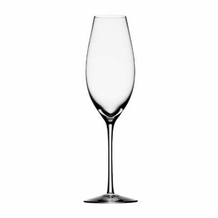 Difference Champagnerglas 31cl