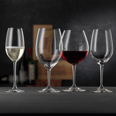 Vivino Champagne Glass 26cl, 4-pack