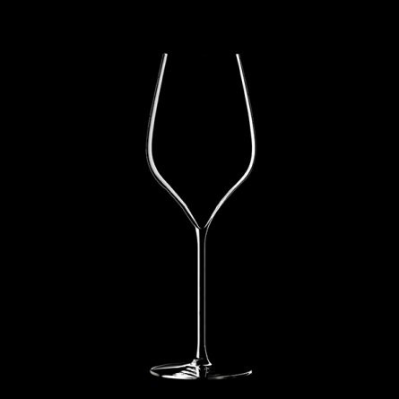 M5 Champagne Glass 30cl, 6-pack