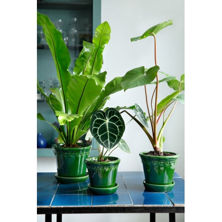 Copenhagen Pot green ø 12 cm