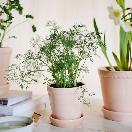 Helena Flower Pot Quartz Rose, Ø 14cm