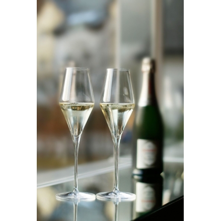 Quatrophil Champagne glass 29cl, 2-pack