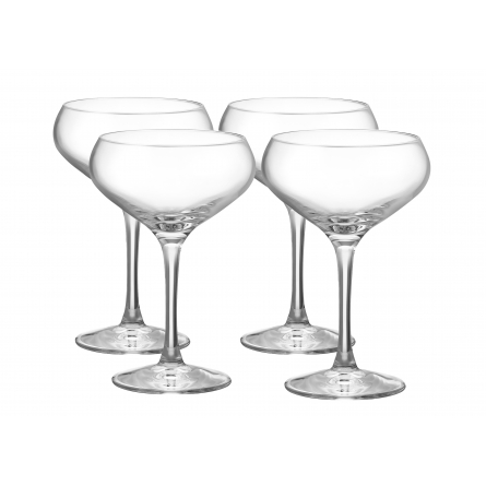 More Champagne Coupe 21cl, 4-pack