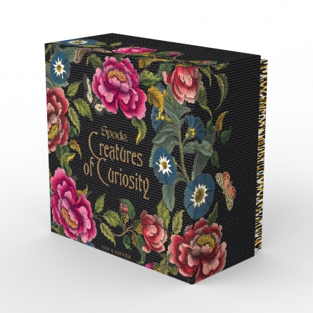 Creatures of Curiosity Tea Cup & Saucer 35cl
