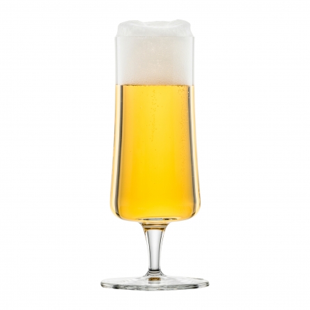 Bierprobenglas Beer Basic 28,3 cl 6er-Pack