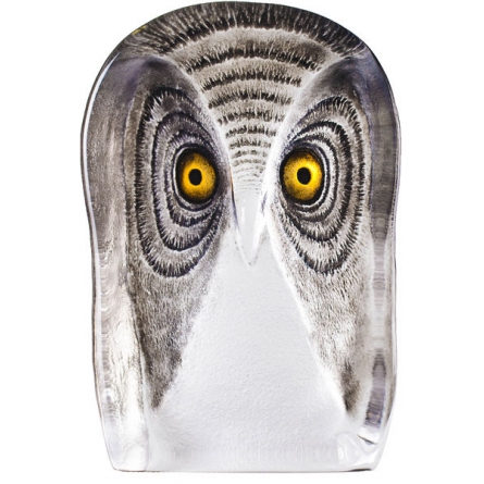 Owl, stor