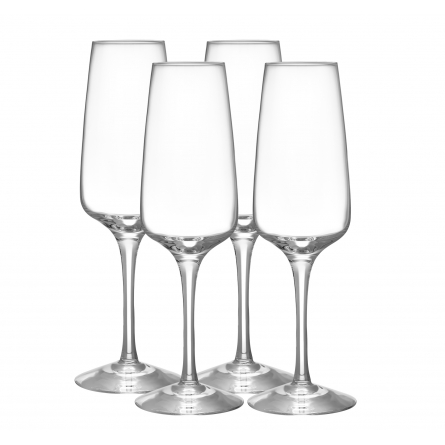 Pulse Champagne Glass 28cl, 4-pack