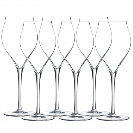 Exaltation Champagne Glass 30cl, 6-pack