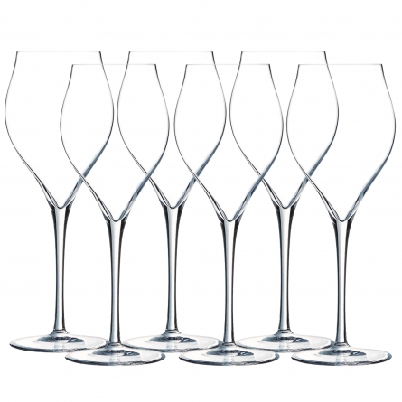 Exaltation Champagnerglas 30cl, 6-pack