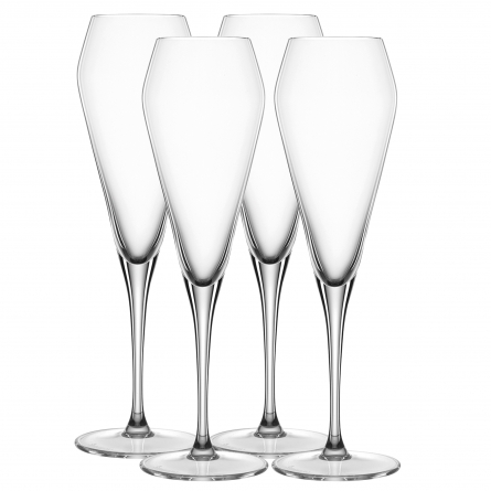 Willsberger Anniversary Champagnerglas 24cl, 4-pack
