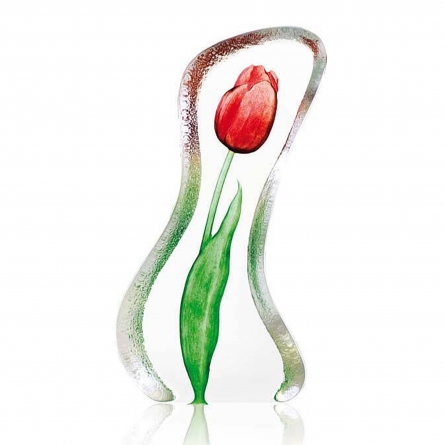 Tulip Rot, Groß