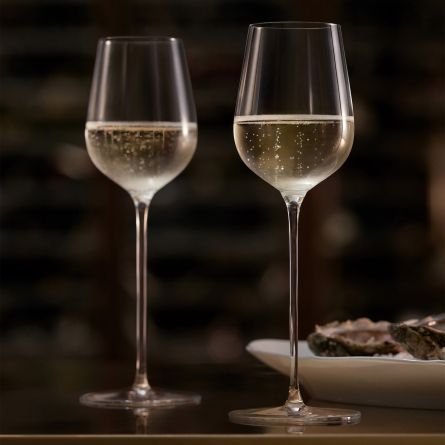 Orrefors x Bj&ouml;rn Frantz&eacute;n Champagne Glass 28cl, 2-pack