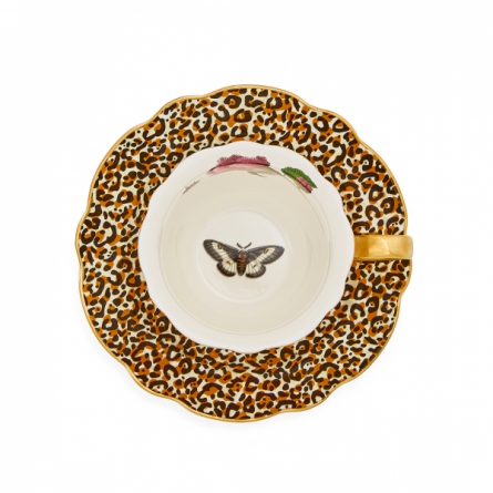 Creatures of Curiosity Tea Cup & Saucer 35cl