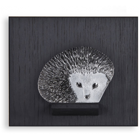 Miniature Hedgehog
