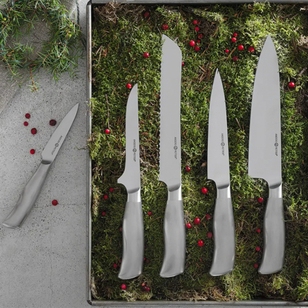 Backaryd knife set 5 pieces