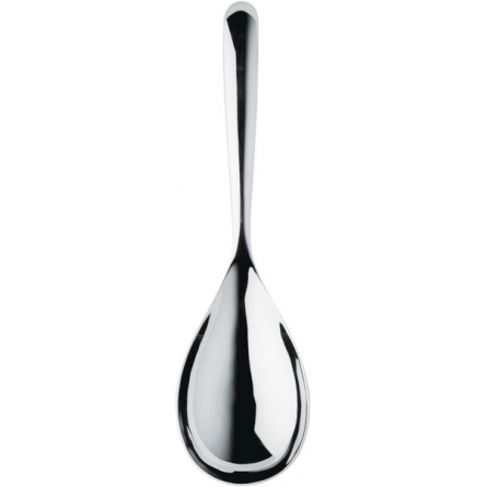 Signature Rice Spoon