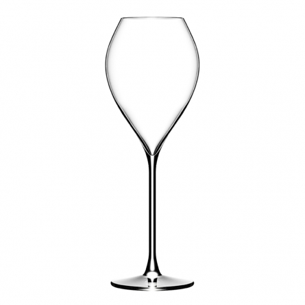 New Grand Champagne glass 25cl, 6-pack