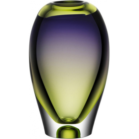 Vision vase purple / Green