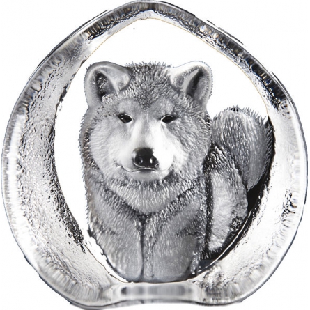 Akita
