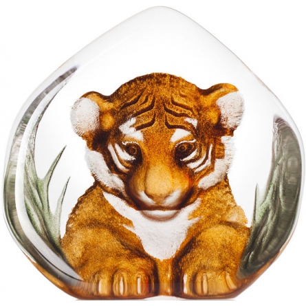 Tigerjunges