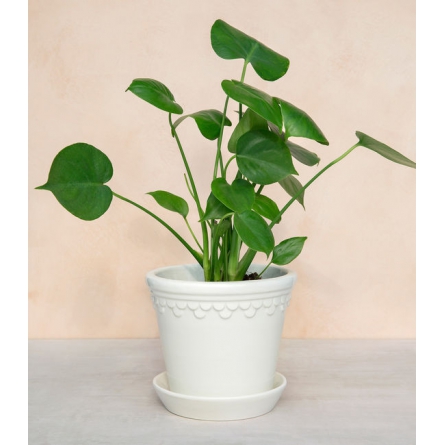 Copenhagen Pot Vit ø 14 cm