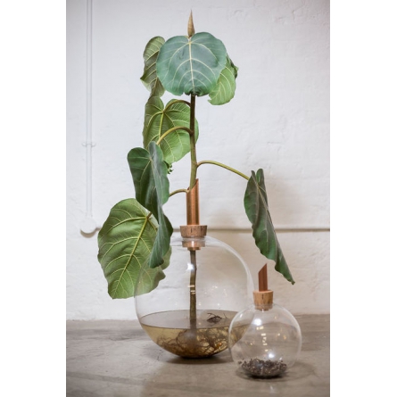 Glasilium Clear ø 20 cm