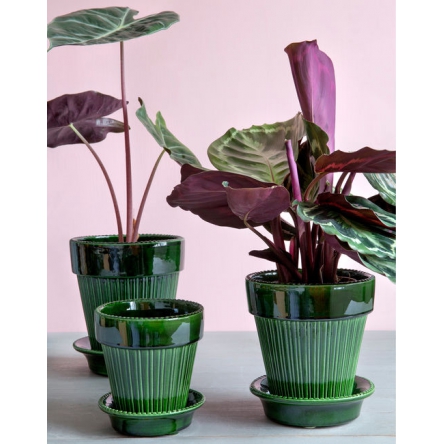 Simona Pot Green, Ø 12cm