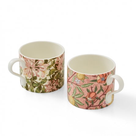 Fruit & Honeysuckle Mugs 34cl, 2-pack