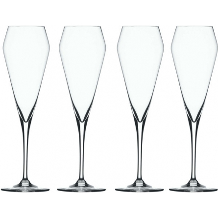 Willsberger Anniversary Champagneglas 24cl 4-pack