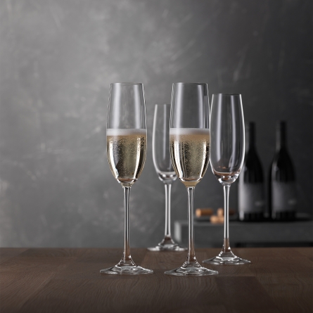 Salute Champagneglas 21cl, 4-Pack