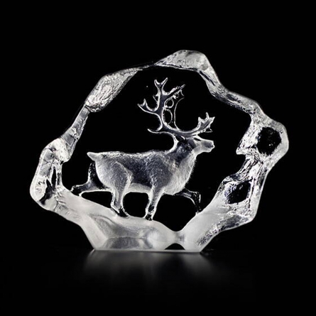 Reindeer, Mini