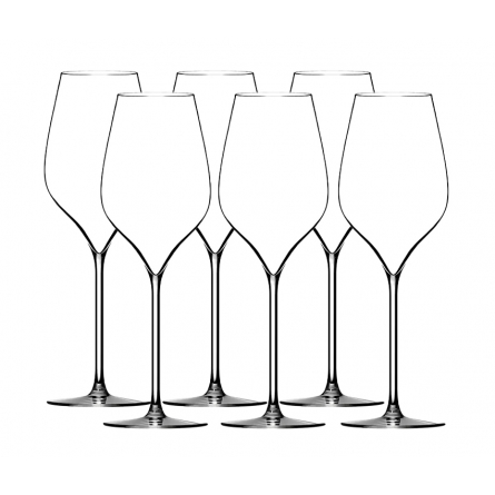 M5 Champagneglas 30cl, 6-pack