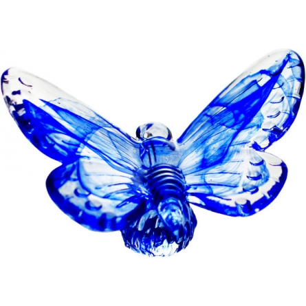 Papilio blå