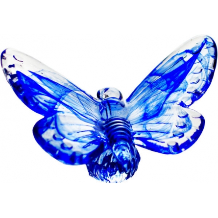 Papilio blue