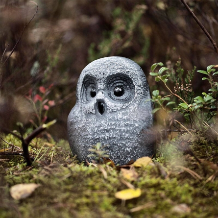Owlet, Black